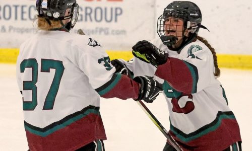 Billerica/Chelmsford girls hockey team edges HPNA in 2-1 thriller