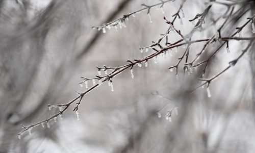 As bitter cold hits Twin Cities this week, those in need can find help by dialing 211