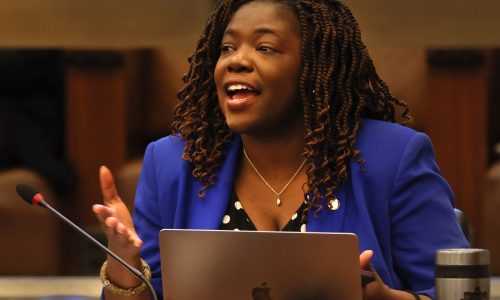 Varying home assessments emerge as latest tax battle at Boston City Council hearing