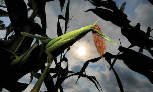 John Marboe: A grant for good food for good people … gone