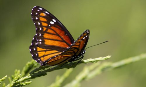 Unforgettable natural phenomena trips to put on your radar for 2025