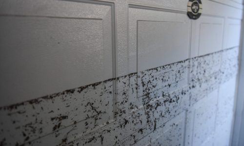 ‘People Were Scrambling’: Officials Press for Better Emergency Plans for NYC Wildfires, Flash Floods