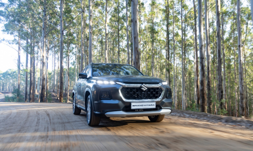 Put your pet at the heart of your next road trip adventure