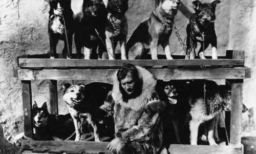 Today in History: February 2, Alaska Serum Run ends