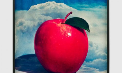 Spend a night (or day) at these Boston museums