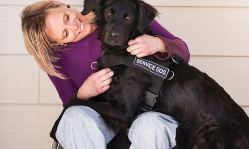 Cohen: Fake service dogs threaten disability rights, safety