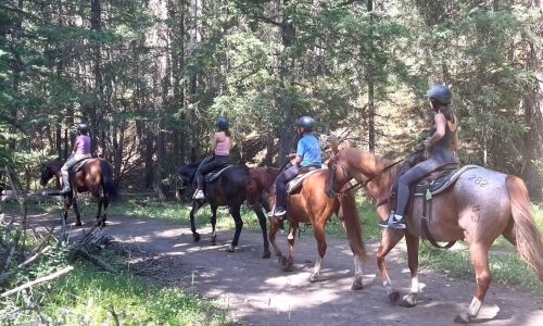 Destination ideas for your family reunion