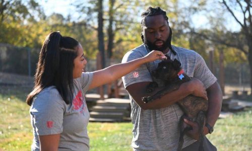 Kansas City Chiefs player becomes a coach to a mutt named Parsnip for the ‘Puppy Bowl’