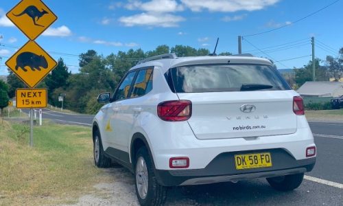 Test Drive: Taking the Hyundai Venue to Lightning Ridge, Australia