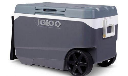 Igloo recalls over a million coolers after handle hazard causes fingertip amputation injuries