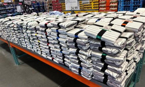 US retail sales plunged along with temperatures in January after a bustling holiday season