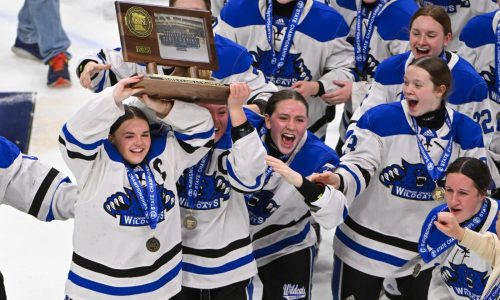 Class A state hockey: Dodge County wins title over Warroad in overtime