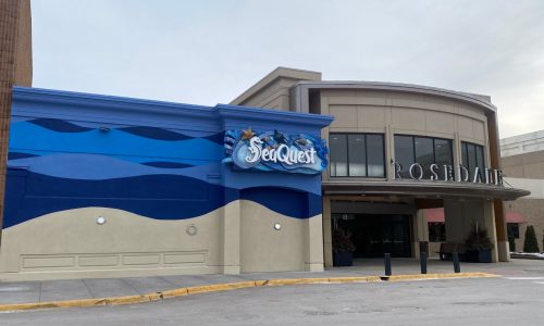 Embattled aquarium chain SeaQuest appears to close Roseville location