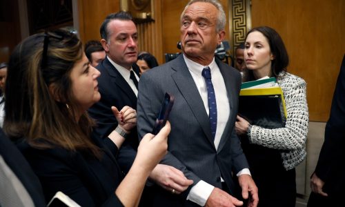 Lisa Jarvis: RFK Jr. is not up to the enormous task before him