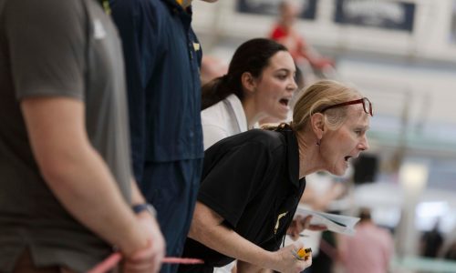 Framingham wins South swimming title