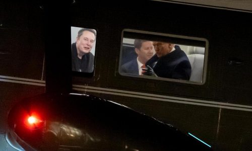 Trump backs idea to send some DOGE savings to American citizens