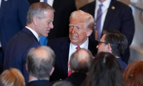 Trump meets with congressional Republicans as GOP lawmakers argue over tax and spending cuts