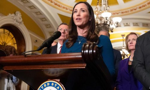 As DOGE hammers away at the US government, Republicans stir with quiet objections