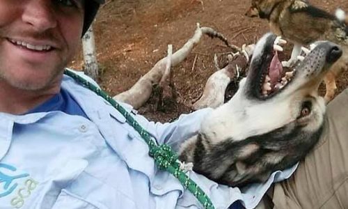 Fired federal workers hunt for new jobs but struggle to replace their old ones