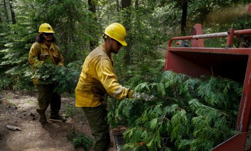 How Trump’s mass layoffs raise the risk of wildfires in the US West, according to fired workers