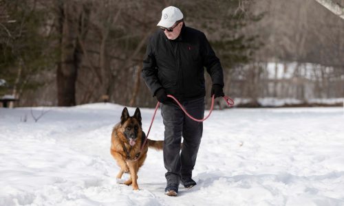 ‘Finally above freezing:’ Boston weather to warm up in coming week