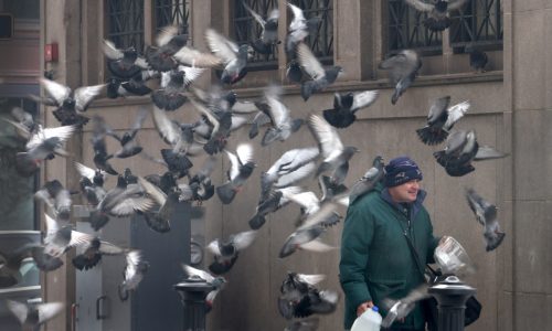 Boston weather: City in for more snow, some warmer days