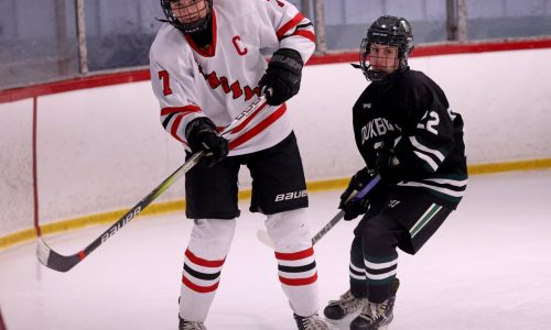 Girls hockey tournament preview: Heavyweights seem on collision course