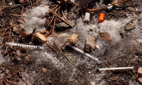 DCR officials report rise in unauthorized encampments along state-owned property