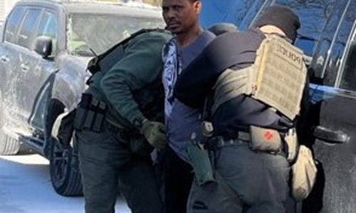 ICE Boston nabs Dominican drug dealer charged with assault