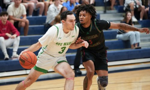 Former Scituate hoop star Jack Poirier finds success at Ave Maria