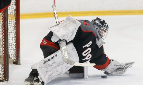 Boys hockey tournament preview: Favorites wary of upset-minded field