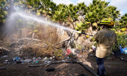 San Diego tries a different approach to fire prevention: A new spray on dry brush