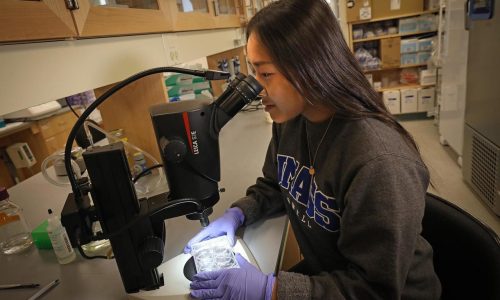 UMass Lowell reaches ‘prestigious’ R1 distinction, indicating high research activity