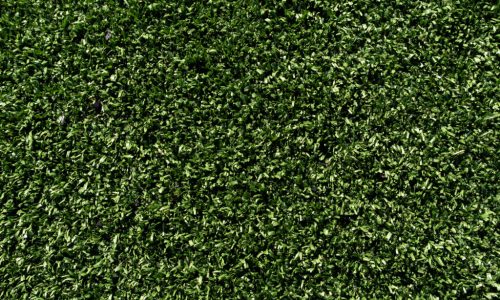 The Fight to End Plastic Turf Zeros in on NYC Parks