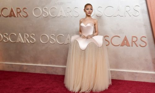 Who wore what on the Oscars red carpet