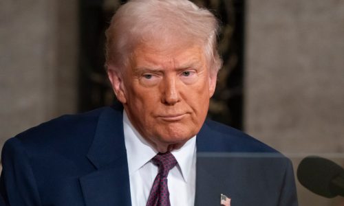 White House doubles down on Trump’s claim about transgender mice