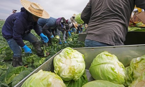 Trump’s reciprocal tariffs will overturn decades of trade policy