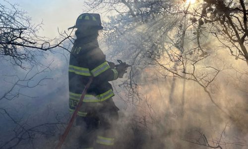Long Island brush fires contained