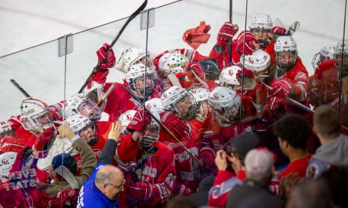 Catholic Memorial ends drought, makes final in 1-0 win over Pope Francis