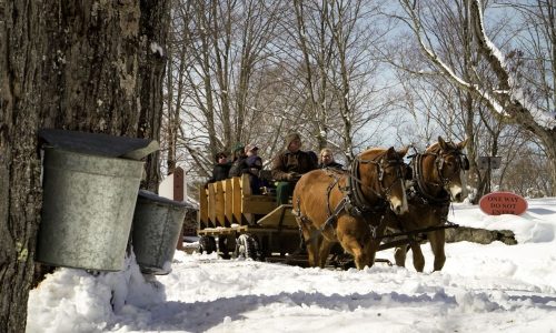 For a sweet adventure, take a deep dive into NE’s maple season