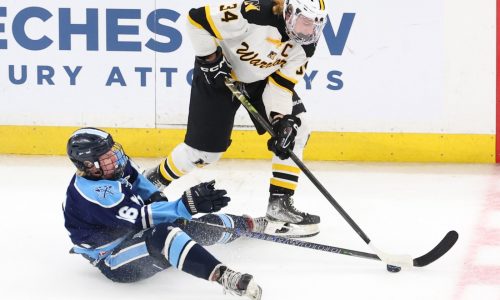 Nauset boys net first state hockey title