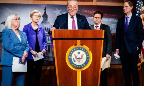 Democrats Wrestle With DOGE and Musk
