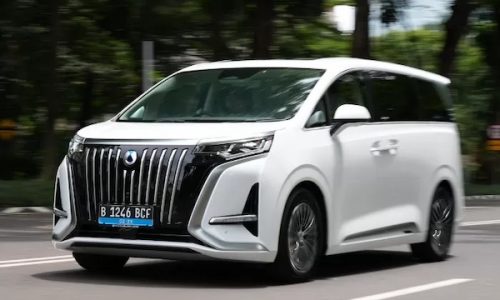 Indonesia February 2025: Denza shoots up