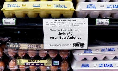 Egg prices continue to hit records as Easter and Passover approach, but some relief may be coming