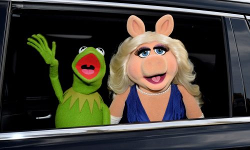 Kermit the Frog named University of Maryland commencement speaker