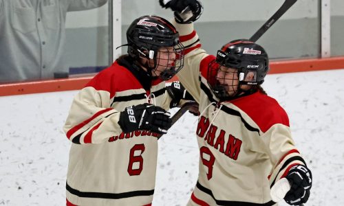 Hingham builds big early lead, holds off HPNA to advance to Div. 1 state girls hockey final