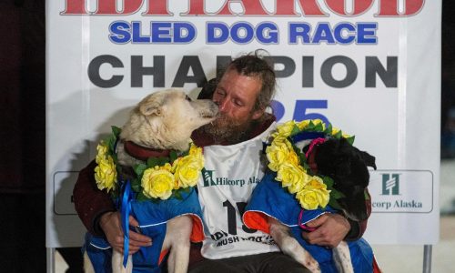 Former reality TV star Jessie Holmes wins longest-ever Iditarod Trail Sled Dog Race in Alaska