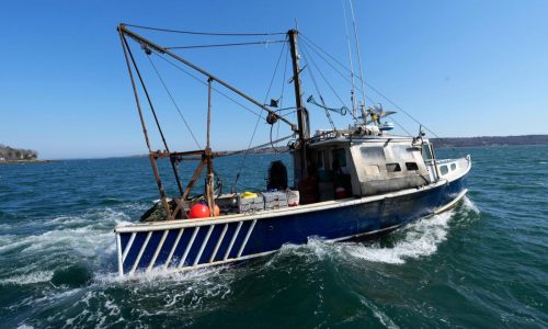 Fishermen want to go green but say DOGE cuts prevent that