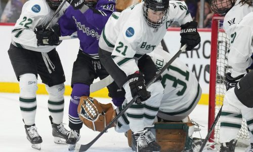 Boston Fleet use Hilary Knight hat trick to win in Lowell