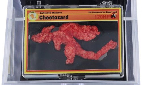 Pokémon-shaped Cheeto, ‘Cheetozard,’ sells at auction for $87,840